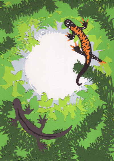 Over Under Newts