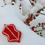 christmas gallery