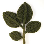 photo of knitted elm twig (back)