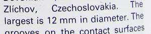 crinoid photo caption again