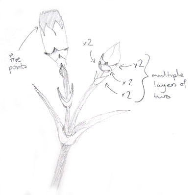 sketch of carnations