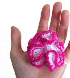 variegated hyperbolic plane flower