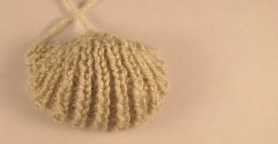cockle shell attempt three
