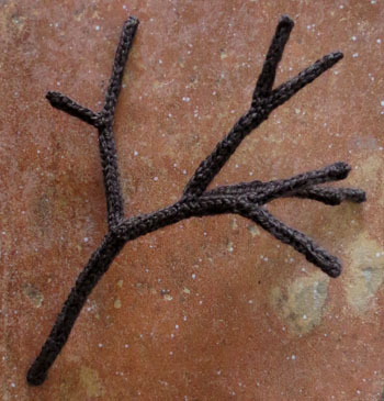 Proto-Twig