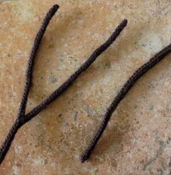 Twigs 2 and 3