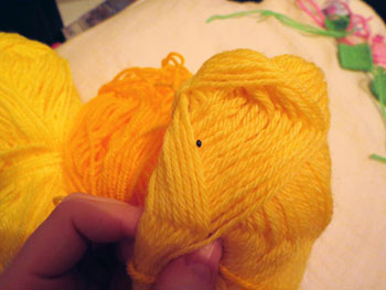 Bug on my wool.