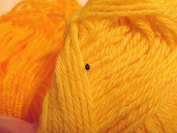 Bug on my wool.
