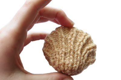 Hardened Sea Shell, Held By The Edges