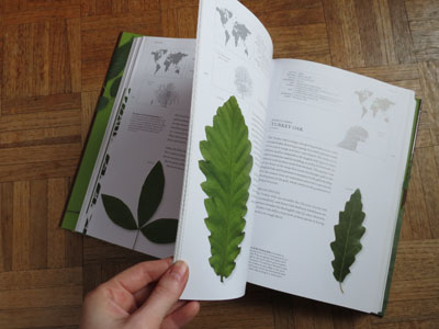 New Book Inside
