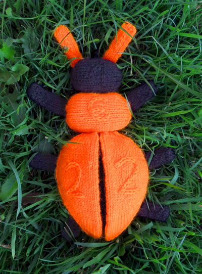 Beetle in the Garden
