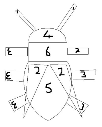 Technical Diagram of Beetle Design