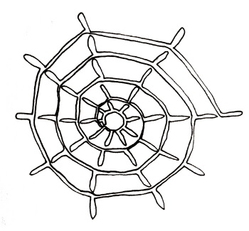 cobweb plan