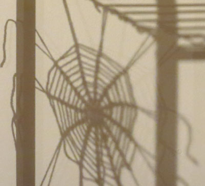 shadow of a knitted web