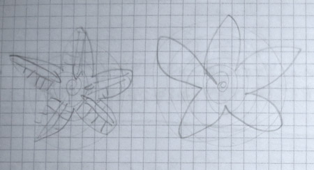 Starfish sketch