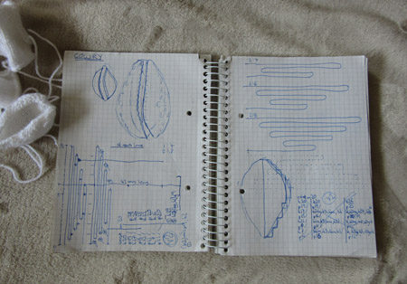 cowry shell notes