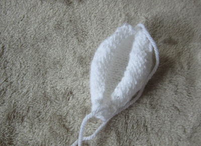 cowry shell version 4 inside out