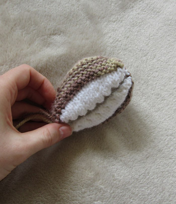 cowry shell version x with serrated edge