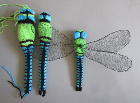 the incredible shrinking dragonfly