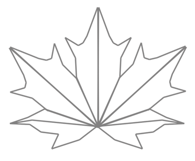 maple leaf sketch