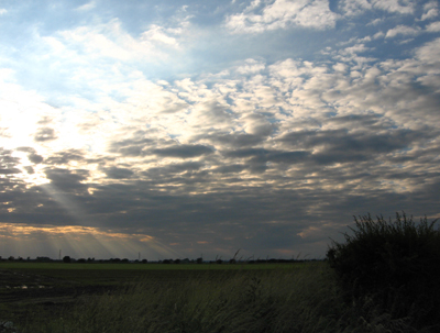 Cloudy View