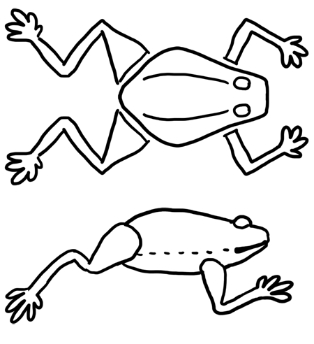 Diagram showing leg positions.