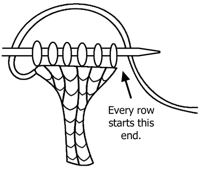 Diagram showing formation of i-cord