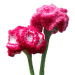 free knitting patterns for carnations