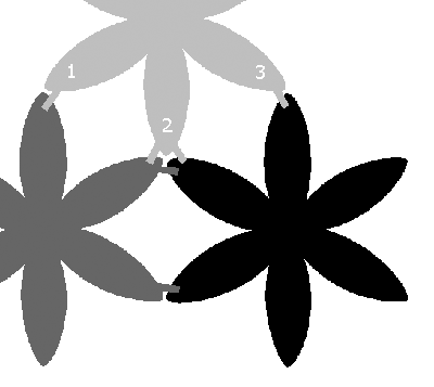 Diagram showing how three flowers are joined.