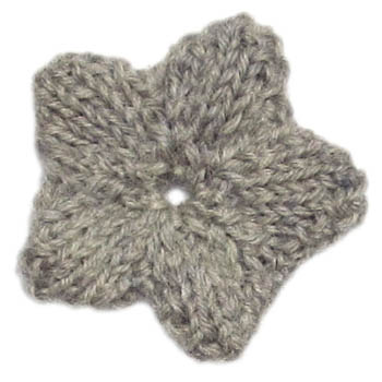 big star-shaped crinoid