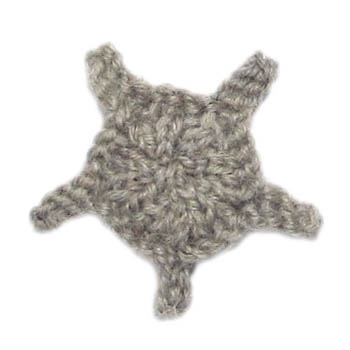 big star-shaped crinoid