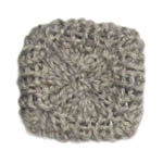 crinoid 08
