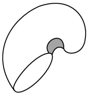 Diagram showing the knitted devil's toenail before making up.