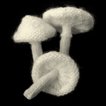 knitted destroying angel