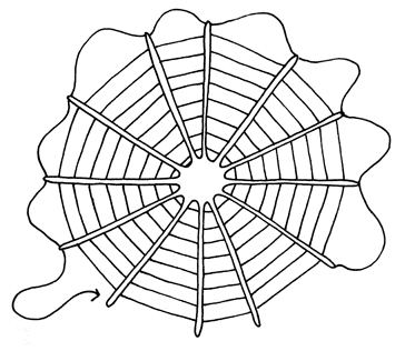 Diagram showing cobweb and yarn tail.