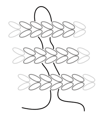 Diagram showing how the outside edge is sewn together