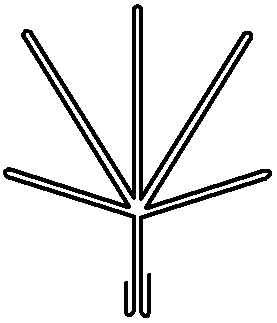 wire frame set up