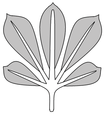 leaflet arrangement