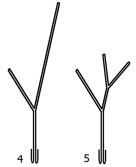 wire frame for two branch twig